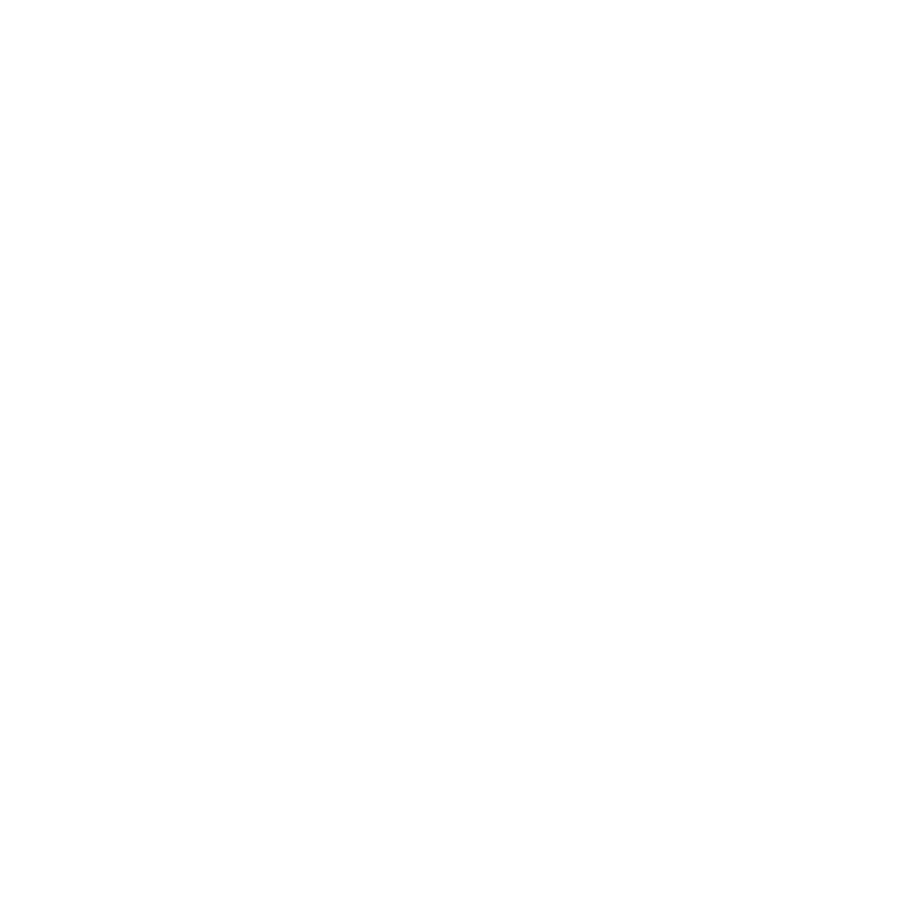 Logo Riviera Basketball Academy en blanc